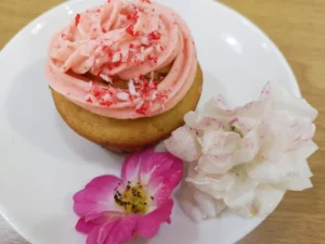 govindas food 2
